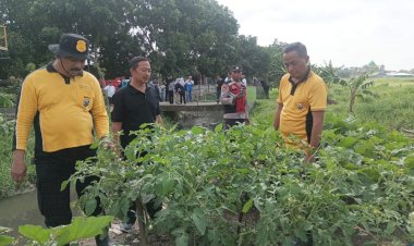 Kapolsek-Krian-Turun-Langsung-Cek-Ketahanan-Pangan-di-Desa-Junwangi