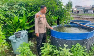 Polsek-Gedangan-dengan-Warga-Manfaatkan-Lahan-Kosong-untuk-Budidaya-Ikan-Lele