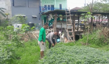 Kapolsek-Sukodono-Apresiasi-Warga-yang-Produktif-Manfaatkan-Lahan-untuk-Ketahanan-Pangan