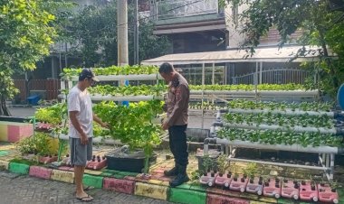 Warga-Perum-MCG-Giatkan-Tanaman-Hidroponik,-Disambut-Baik-Bhabinkamtibmas-Desa-Larangan