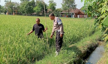 Kapolsek-Tanggulangin-Dukung-Ketahanan-Pangan-Lewat-Program-Pekarangan-Pangan-Bergizi