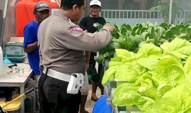 Polisi-Apresiasi-Warga-Kembangkan-Hortikultura-di-Green-House-Ketahanan-Pangan-Desa-Kletek-Sidoarjo