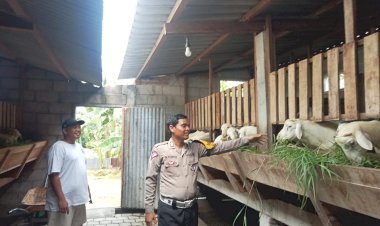 Polresta-Sidoarjo-|-Polsek-Gedangan-Apresiasi-Inisiatif-Warga-Manfaatkan-Lahan-Kosong-untuk-Peternakan-Kambing
