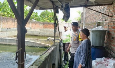 Warga-Pamotan-Porong-Manfaatkan-Lahan-Kosong-untuk-Budidaya-Ikan-Lele,-Dukung-Ketahanan-Pangan