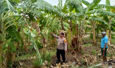 Dukung-Ketahanan-Pangan,-Bhabinkamtibmas-Cek-Lahan-P2B-Bumdes-Pangkemiri-Tulangan