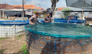 Polresta-Sidoarjo-dan-Warga-Ketimang-Kembangkan-Ketahanan-Pangan-Lewat-Budidaya-Lele