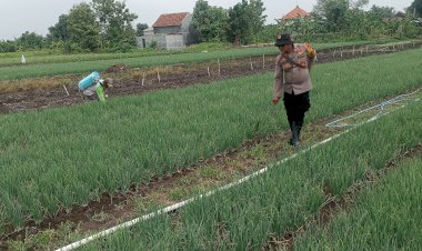Polisi-Cinta-Petani:-Polresta-Sidoarjo-Dampingi-Warga-Kelola-Pekarangan-Produktif
