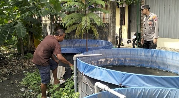 Polsek Tulangan Cek Program Ketahanan Pangan Budidaya Ikan Lele di Desa Krembangan