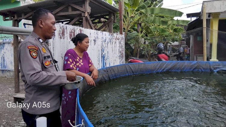 Bhabinkamtibmas Desa Karangbong Cek Budidaya Ikan Lele