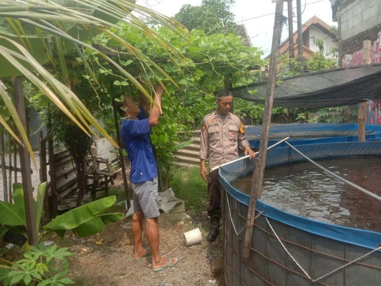 Polsek Sedati Apresiasi Warga Pranti Manfaatkan Lahan Kosong untuk Budidaya Lele