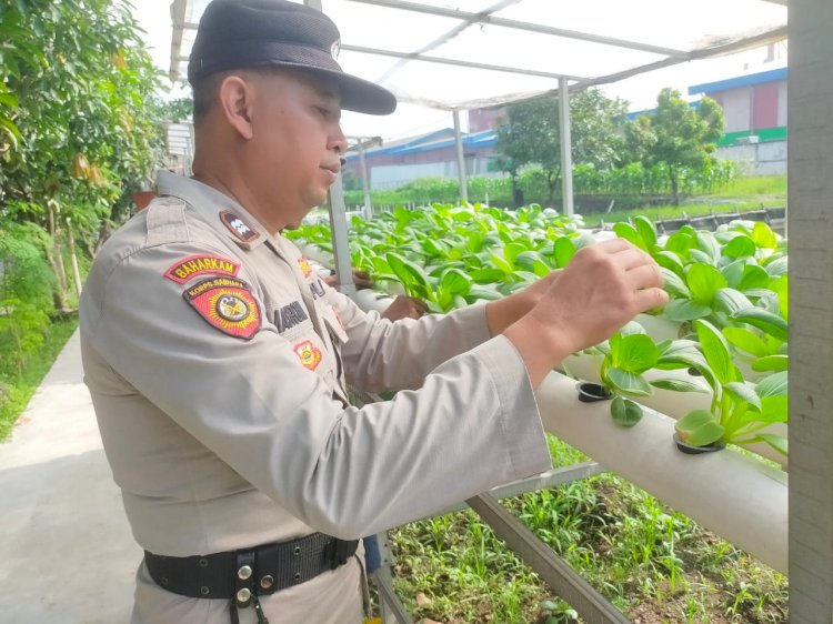 Upaya Ketahanan Pangan, Bhabinkamtibmas Tinjau Budidaya Sawi Hijau Hidroponik di Desa Keboharan