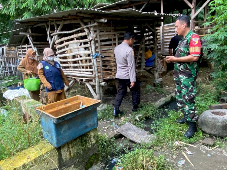 Tiga Pilar Tinjau Kesehatan Hewan Kurban Perkuat