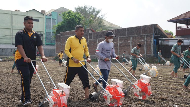 Dukung Ketahanan Pangan, Polresta Sidoarjo Bersama Santri Bumi Sholawat Tanam Jagung