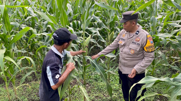 Bhabinkamtibmas Desa Bakung Temenggungan Masifkan Program Ketahanan Pangan Polresta Sidoarjo