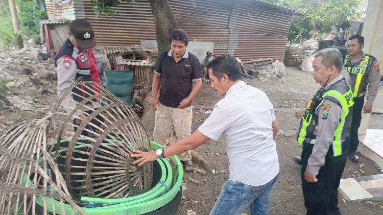 Polresta Sidoarjo Bongkar Dua Arena Sabung Ayam di Lokasi Berbeda